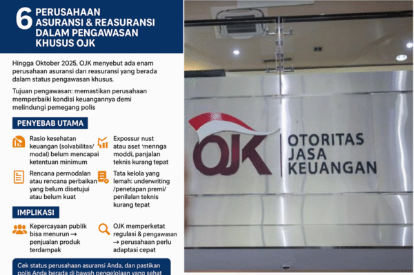 Enam Asuransi Diambang Krisis